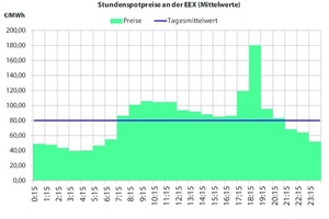  Bild 2: Winter, Werktag, 2006 / Stundenspotpreise an der EEX in €/MWh (Mittelwerte Winter)  