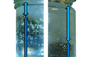  Bild 9:	Entmischung einer FlowIce-Probe durch das Aufschwimmen der Eiskristalle 