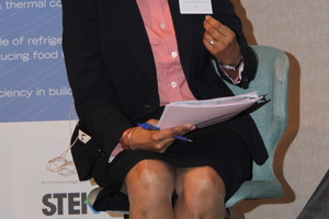  <div class="bildtitel">Dr. Shamila Nair-Bedouelle, Leiterin OzonAction bei der UN, forderte einen Verhaltenskodex zur Einhaltung der Kühlkette beim Transport und der Lagerung von Lebensmitteln. </div> 