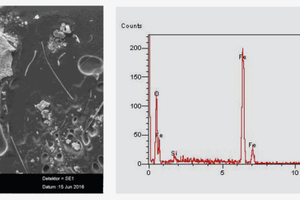  Bild 9: Ergebnis der SEM- und EDX-Analyse für das System C 