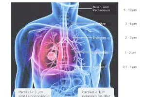  Bild 1: Gesundheitliche Aspekte des Feinstaubs 