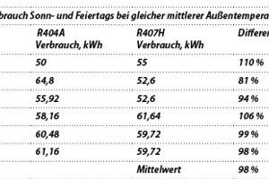  Tabelle 2: Extrahierte NK-Energieverbräuche 