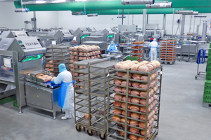  Ein wichtiger Faktor bei der Produktion und Lagerung von Fleisch und Wurst ist die Kühlung der Produktionseinrichtungen und Waren. 