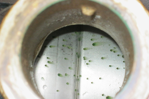  Ansatz eines Biofilms durch bakterielle Korrosion an einer Pumpe, aufgrund der Verwendung von VE-Wasser ohne Zusätze 