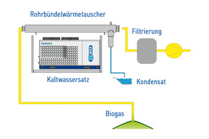  Das Biogas wird im Rohrbündelwärmeübertrager heruntergekühlt, bis der enthaltene Wasserdampf kondensiert und abgeleitet wird 