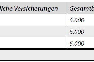  Tabelle 1: Jährliche Zahlung der privaten Krankenversicherung 