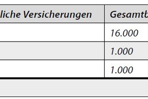  Tabelle 2: Zusammenfassung dreier Jahressummen und einmalige Zahlung der privaten Krankenversicherung zu Beginn des Zeitraums 