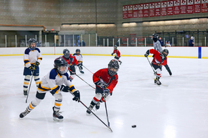  Im örtlichen Eisstadion des Städtchens Stony Plain in der Provinz Alberta (Westkanada) führte der bisherige Verdunstungsverflüssiger im Kältesystem zu einem hohen Wasserverbrauch 