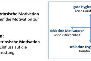  Abb. 3: Arbeitsmotivation nach Herzberg (Zwei-Faktoren-Theorie) 