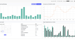  Auswertung der ersten Ergebnisse mit dem fleXality-Dashboard 