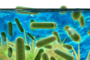  Offene oder geschlossene Kühlsysteme stehen häufig vor Herausforderungen durch mikrobiologische Verunreinigungen und Biofilme. 