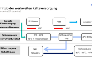  Prinzip der werkweiten Kälteversorgung bei Roche. 