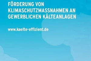  Bild 8: Flyer des Bundesministeriums (BMU), Grafik zur möglichen Energieeinsparung durch Verwendung moderner Kälte- und Regelungstechnik 