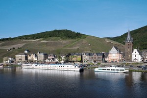  Deutschlands älteste noch praktizierende Rebenveredelung in Bernkastel-Kues 