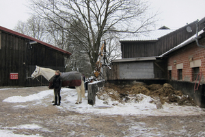  Pferdemisthaufen mit Wohngebäude und Ställen 