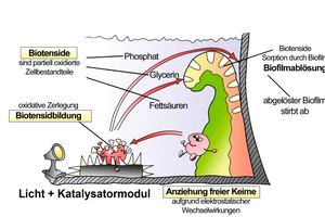  Funktionsweise von „VWS MOL LIK“: Freie Bakterien aus dem Wasser werden durch katalytische Prozesse in Biotenside umgewandelt. Diese lösen Biofilme rückstandslos ab und verhindern die Neubildung. Die katalytische Reaktion ohne Biozidzugabe wird nur durch  