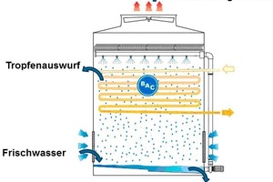  Bild 1: Ursachen des Wasserverbrauches  