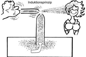  Vereinfacht dargestellt: das Induktionsprinzip 