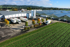  Einer der größten Gemüseanbauer in der Schweiz: die Firma Kellermann in Ellikon an der Thur.	 