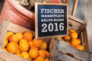  Marktplätze 2016 