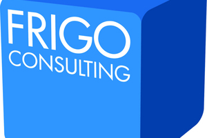  Logo Frigo-Consulting 