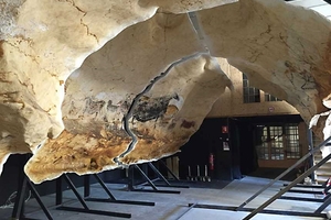  Lascaux IV 