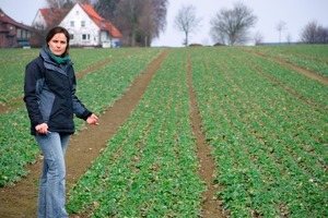  Qualität entscheidet: Für eine gute Vermarktung müssen die Feldfrüchte maximalen Ertrag, Resistenzen gegen Krankheiten und bestmögliche Eigenschaften bei der Weiterverarbeitung mitbringen 