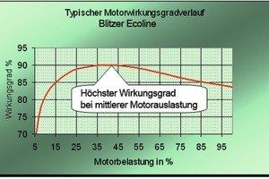  Bild 4: Motorwirkungsgradverlauf eines „Bitzer Ecoline“ Verdichters 